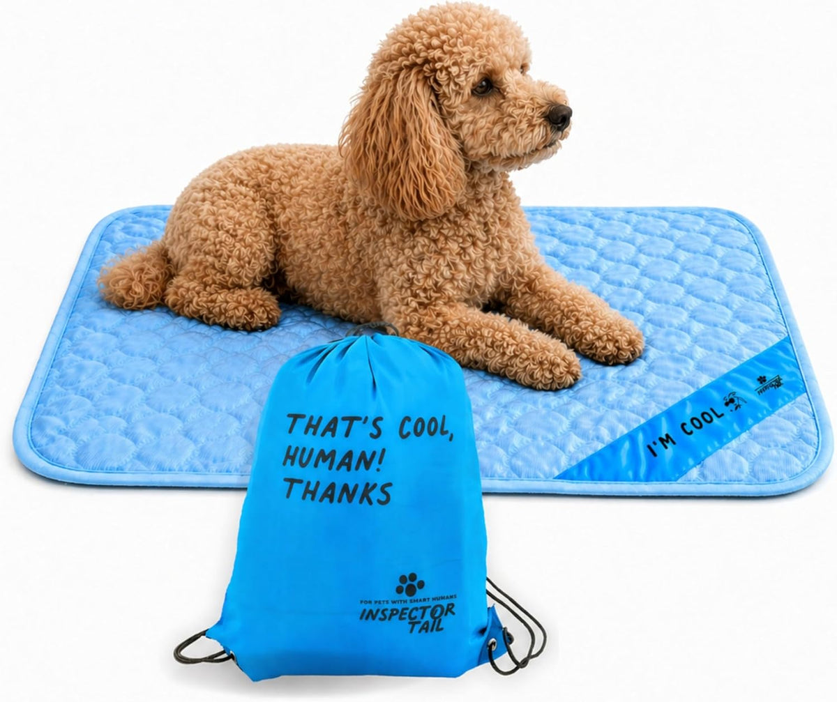 Lightweight Pet Rest Mat with Drawstring Bag — Blue, Medium — selected option