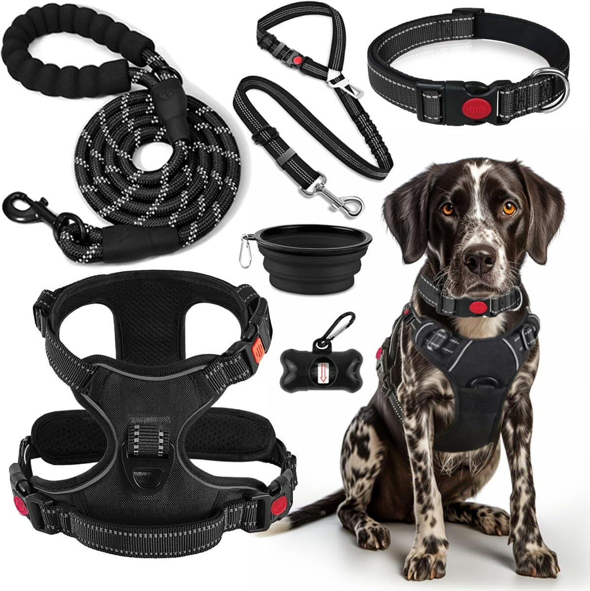 Harness and Travel Accessories Set — Black, Small — selected option