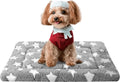 Reversible Crate Mat — Grey Star, 24 by 18 inches — selected option