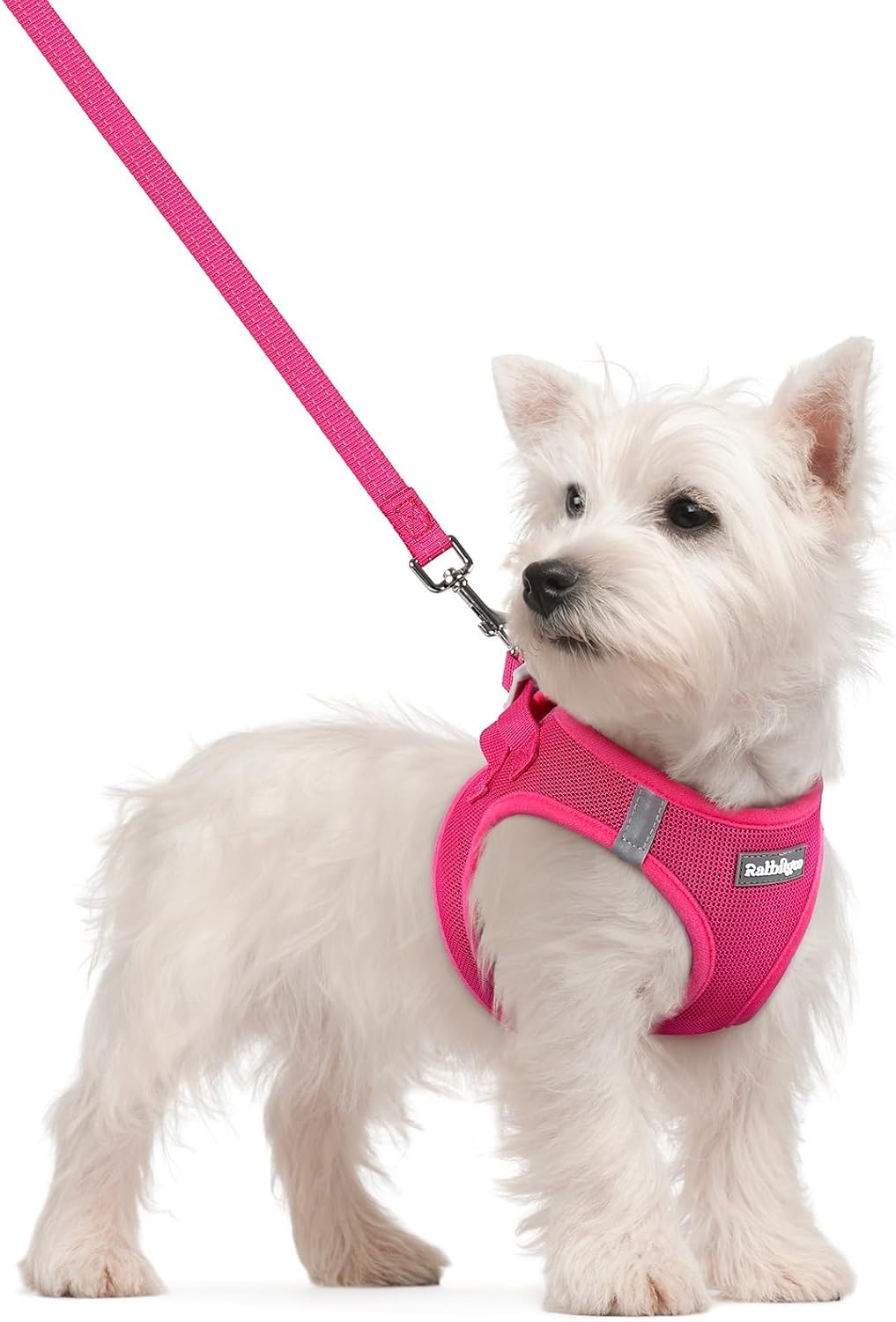Step-In Harness and Leash — Rose Red, S — selected option