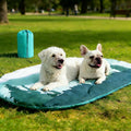 Reversible Travel Pet Mat with Carry Bag — Blue, 43 by 26 inches — selected option