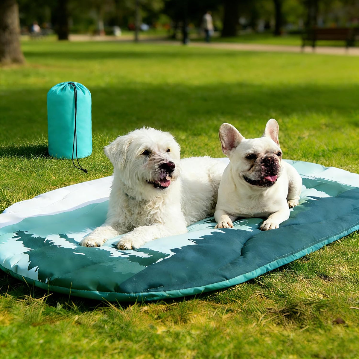 Reversible Travel Pet Mat with Carry Bag — Blue, 43 by 26 inches — selected option