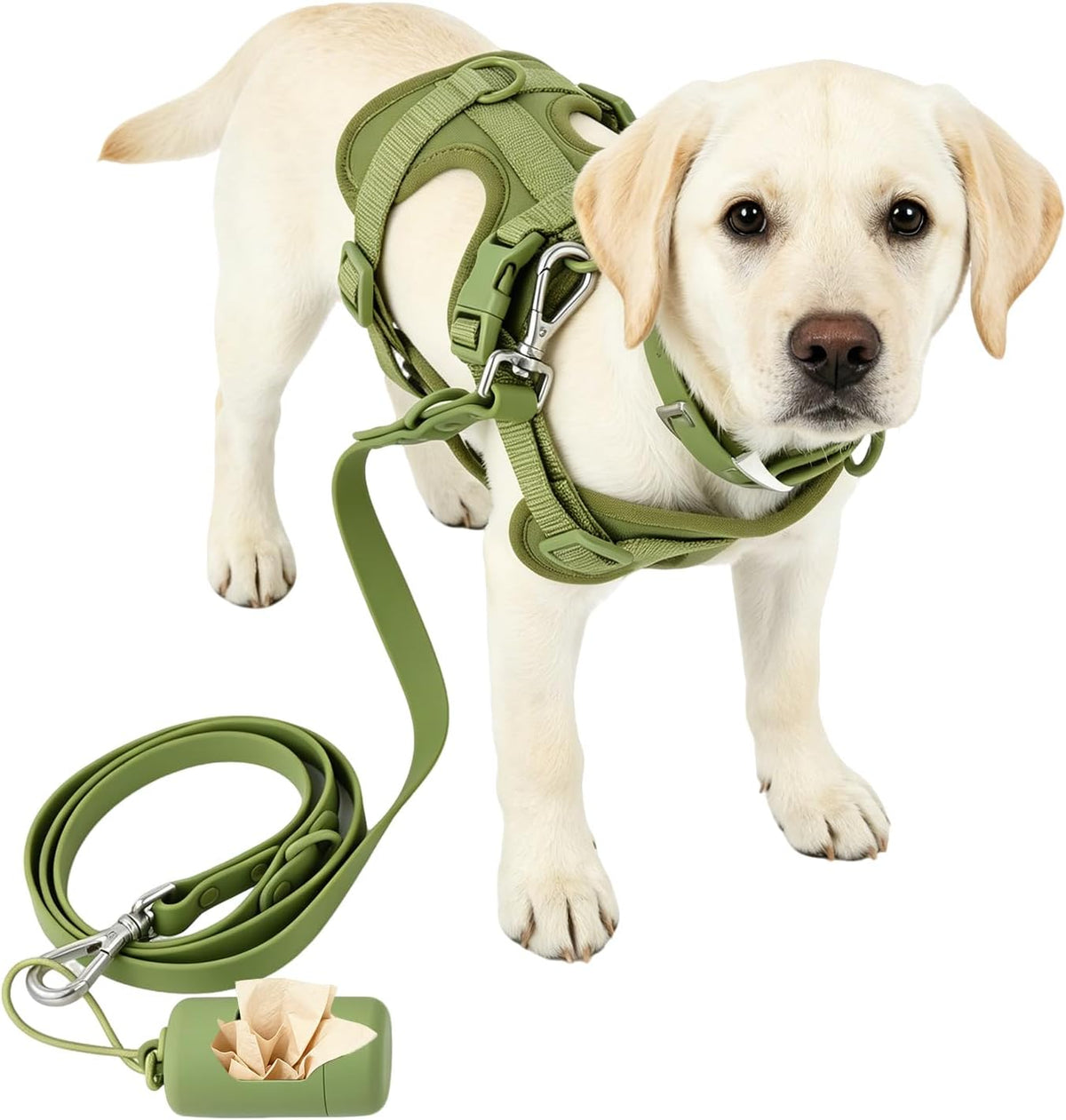 Harness, Convertible Leash and Collar Set — Olive Green, M — selected option